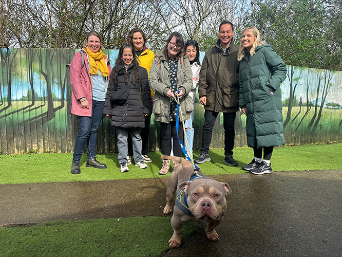 Our banking team with one of the dogs from Cardiff Dogs Home